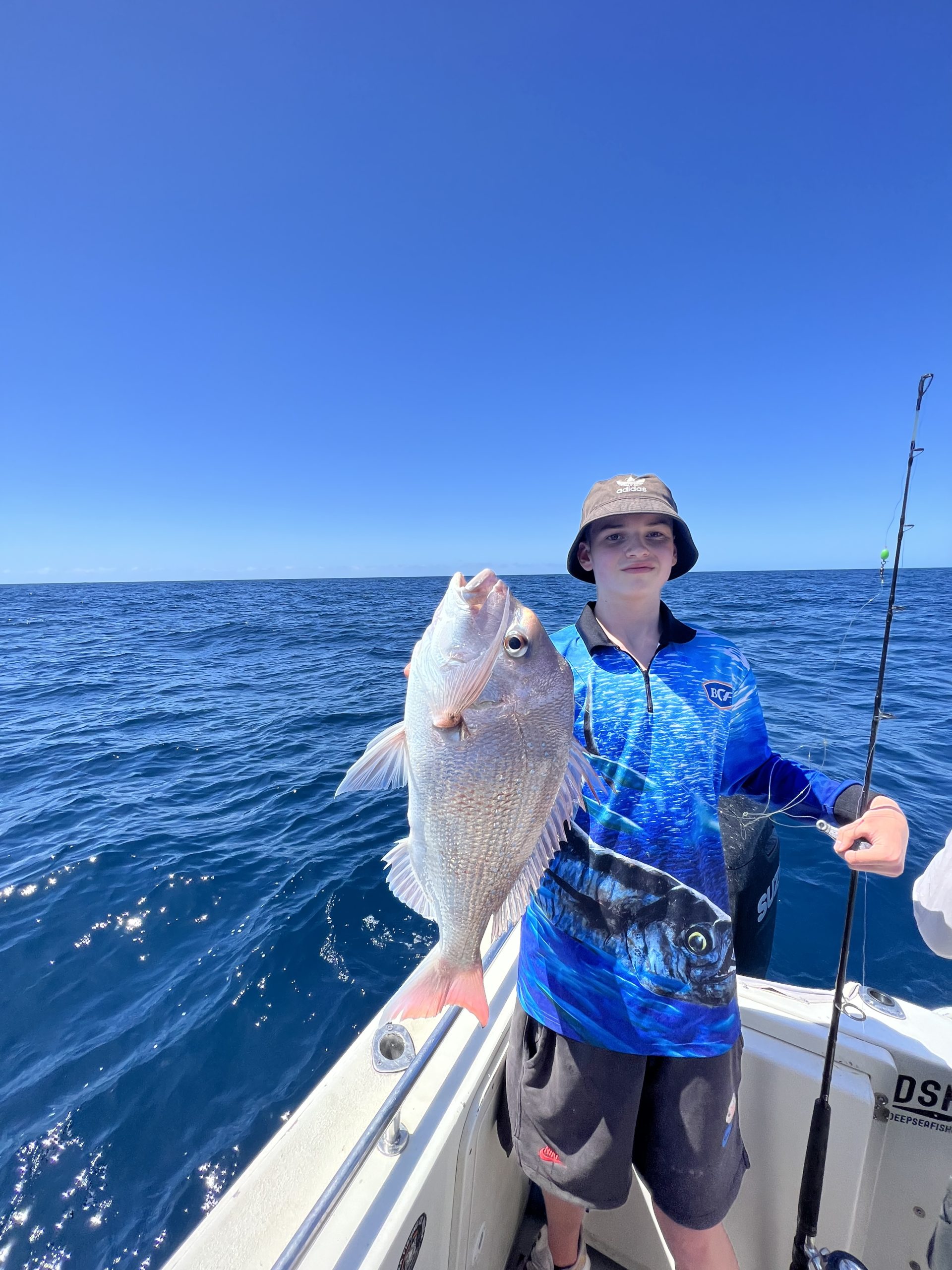 Whales and Offshore Fishing its all happening !!! - Deep Sea Fishing Co  Noosa Sunshine Coast